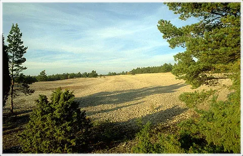 Burgbackar, foto Björn Pettersson
