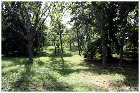 Klinteberget, utflyktsmål