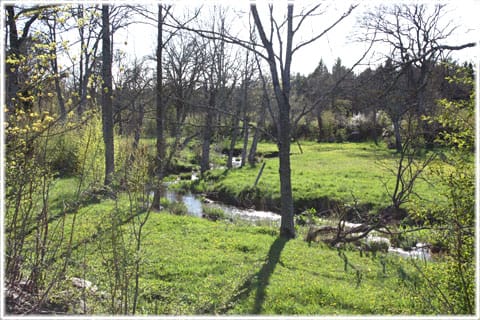 Strömma å, Stånga, Gotland