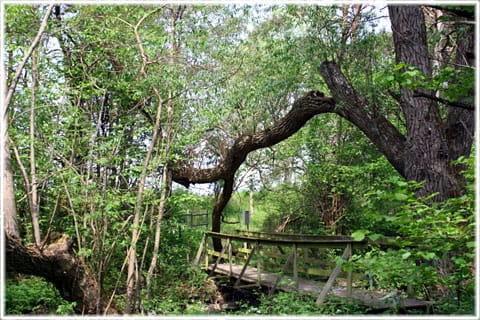 Stångabron, Strömma å, Stånga, Gotland