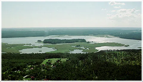 Fardume träsk, foto Björn Pettersson