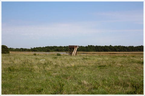 Fågeltornet vid Muskmyr