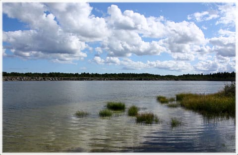 Brottet, Fleringe