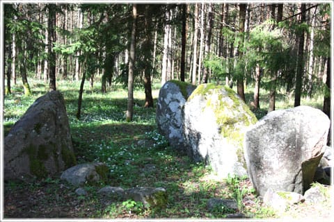 Dös i Tofta på Gotland