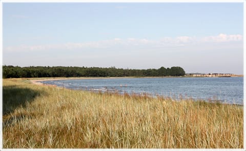 Vandra på Gotland
