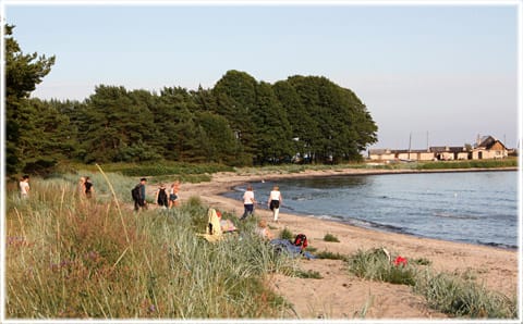 Vandra på Gotland