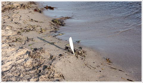 Vandra på Gotland