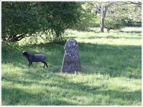 En bildsten i ett änge, foto Bernt Enderborg