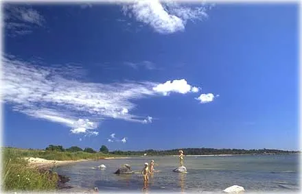 Alnäsa på Fårö , foto Björn Pettersson