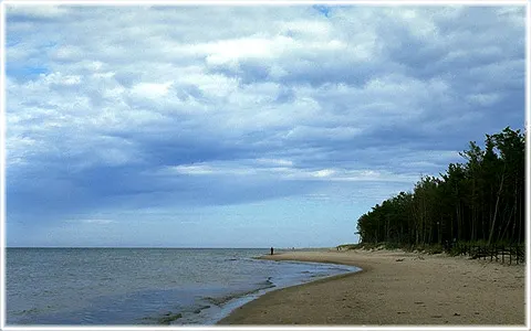 Skär på Fårö, foto Björn Pettersson