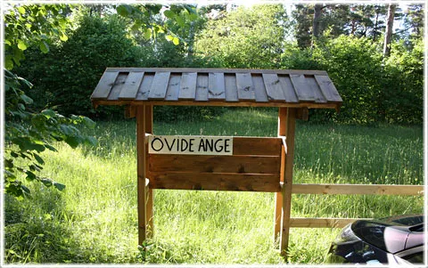 Övide änge, foto Bernt Enderborg