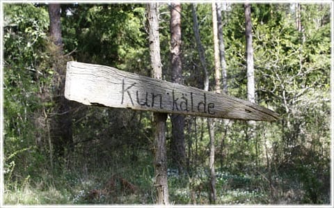 Kunkälde, Strandridare Ahlboms väg