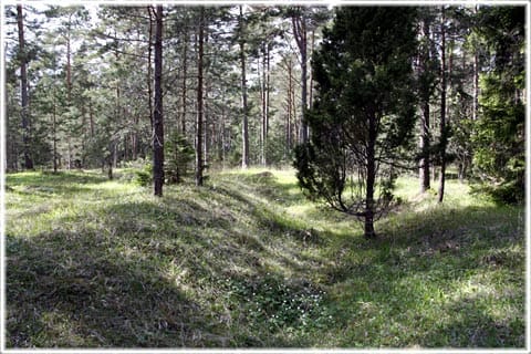 Fornborg, Strandridare Ahlboms väg