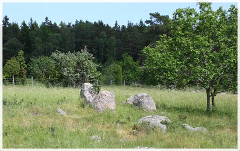 Skeppsättning vid Dikkare