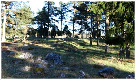 Fornborg, Tings backe, Kräklingbo