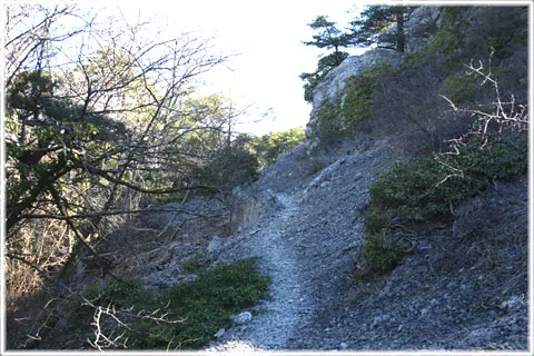 Bergbetningen, foto Bernt Enderborg