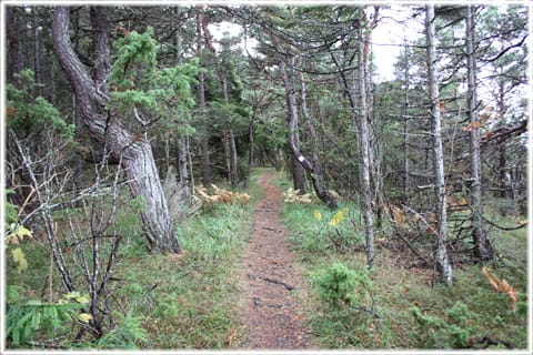 Björkume naturreservat