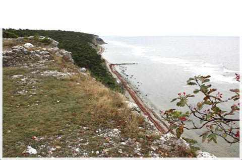 Björkume naturreservat