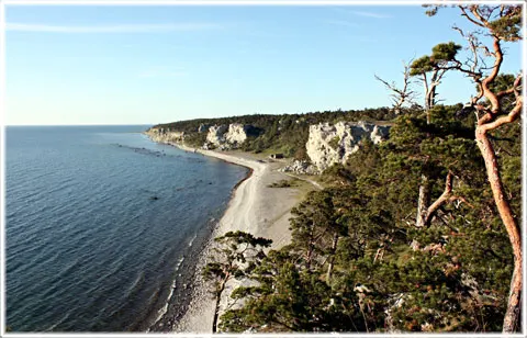 Gotlandskusten, foto Bernt Enderborg
