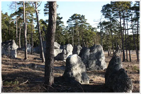 Hideviken - raukar, foto Bernt Enderborg