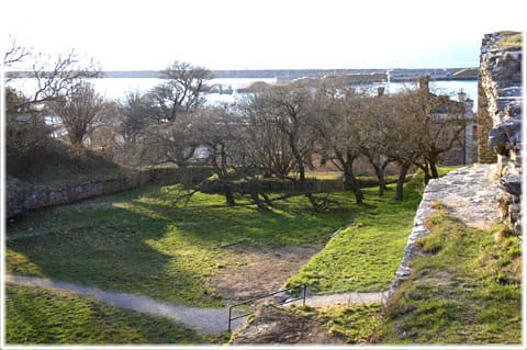 Visborgs slott, delen i palllisaderna