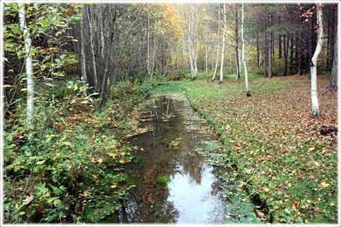 Kutkäldu, Tingstäde