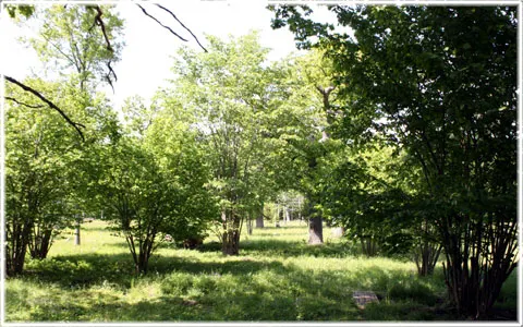 Klosteränget, foto Bernt Enderborg