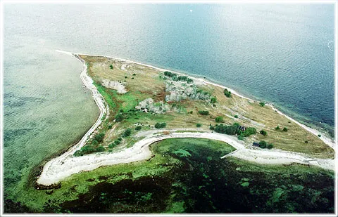 Lausholmar, foto Björn Pettersson