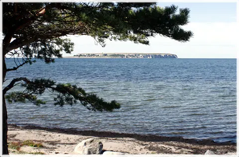 Lilla Karlsö, foto Bernt Enderborg