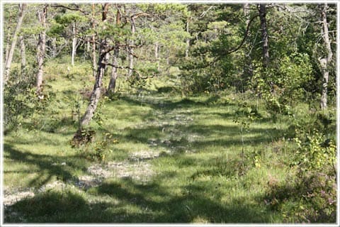 Mallgårds källmyr