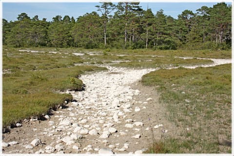 Mallgård källmyr