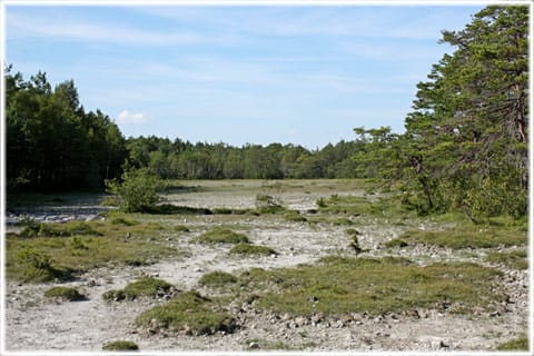 Mallgård källmyr