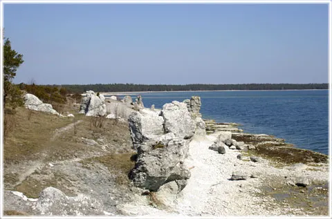 Raukar på S:t Olofsholm, foto Bernt Enderborg