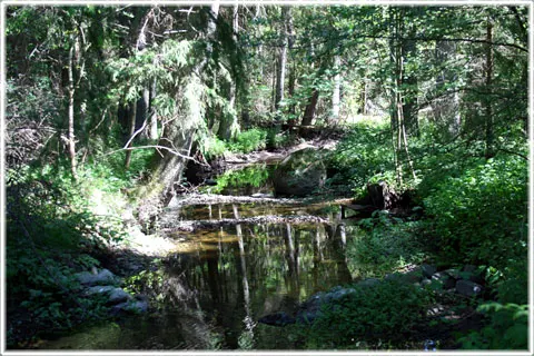 Ollajvs naturreservat, foto Bernt Enderborg