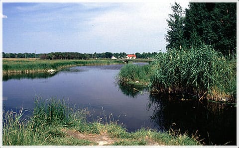 Paviken, Västergarn