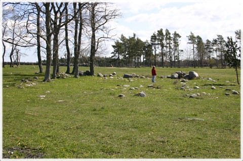 Paviken i Västergarn