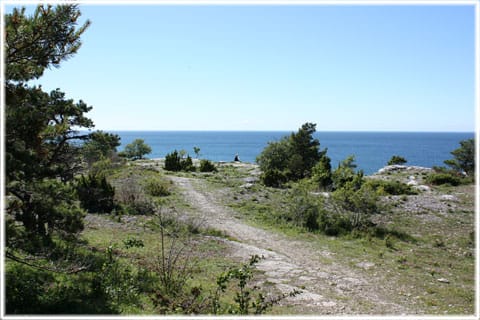 Södra hällarna, Visby