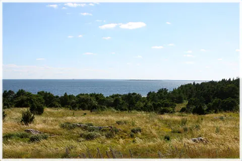 S:t Olofsholm - naturreservat, foto Björn Pettersson