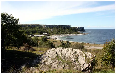 Stora Karlsö, foto Bernt Enderborg
