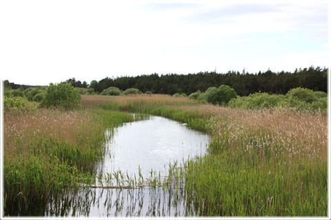 Vasteån