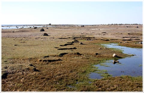 Ålarve naturreservar