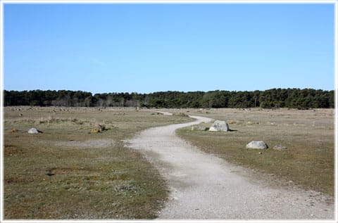 Ålarve naturreservar