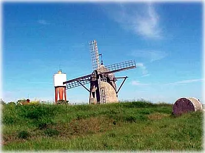 Våren 2003 , foto Bernt Enderborg