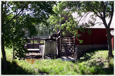 Sigsarve vattensåg