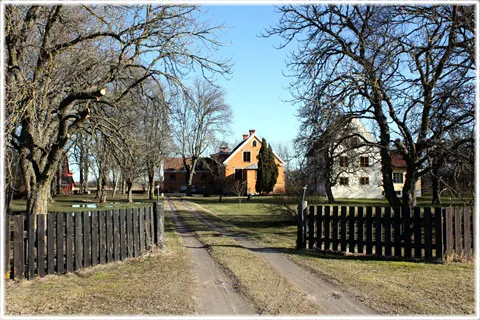 Diskarve, foto Bernt Enderborg
