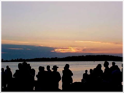 Rogefeldt på Warfsholm