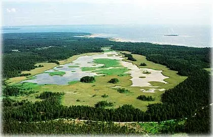 25 juli 2003 , foto Bernt Enderborg