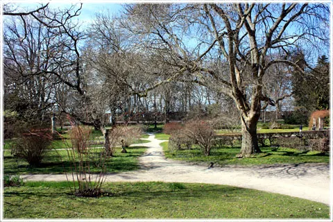 Botaniska Trädgården, foto Bernt Enderborg