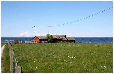 Bibos fiskeläge