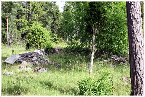 Höglundar järnåldersgård, foto Bernt Enderborg